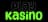 Playkasino