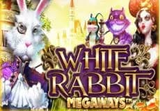 White Rabbit Megaways